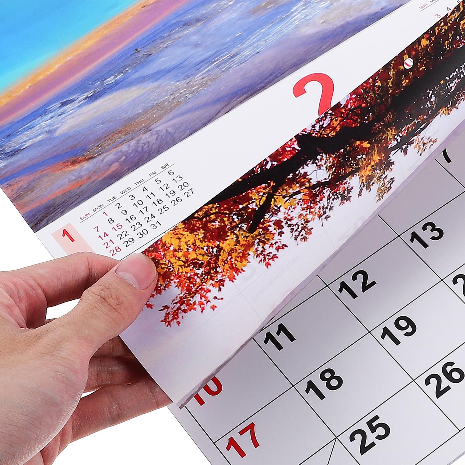 MAGICLULU Wandkalender Bürobedarf Wandkalender Minikalender Fotokalender 2024 Querformatiger Großer Kalender 12 Monats Kalender Für Erwachsene
