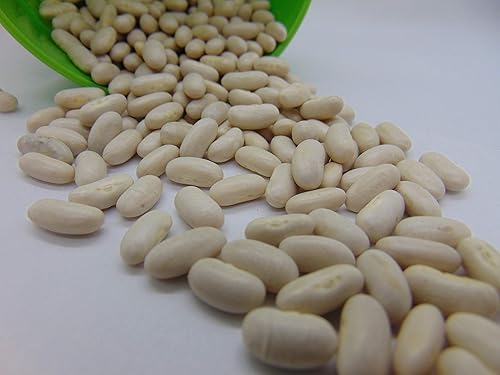 Miniatura 2 de Kentucky Blue Pole Beans, marca Country Creek Acres, semillas sin OMG, paquete de 100 semillas