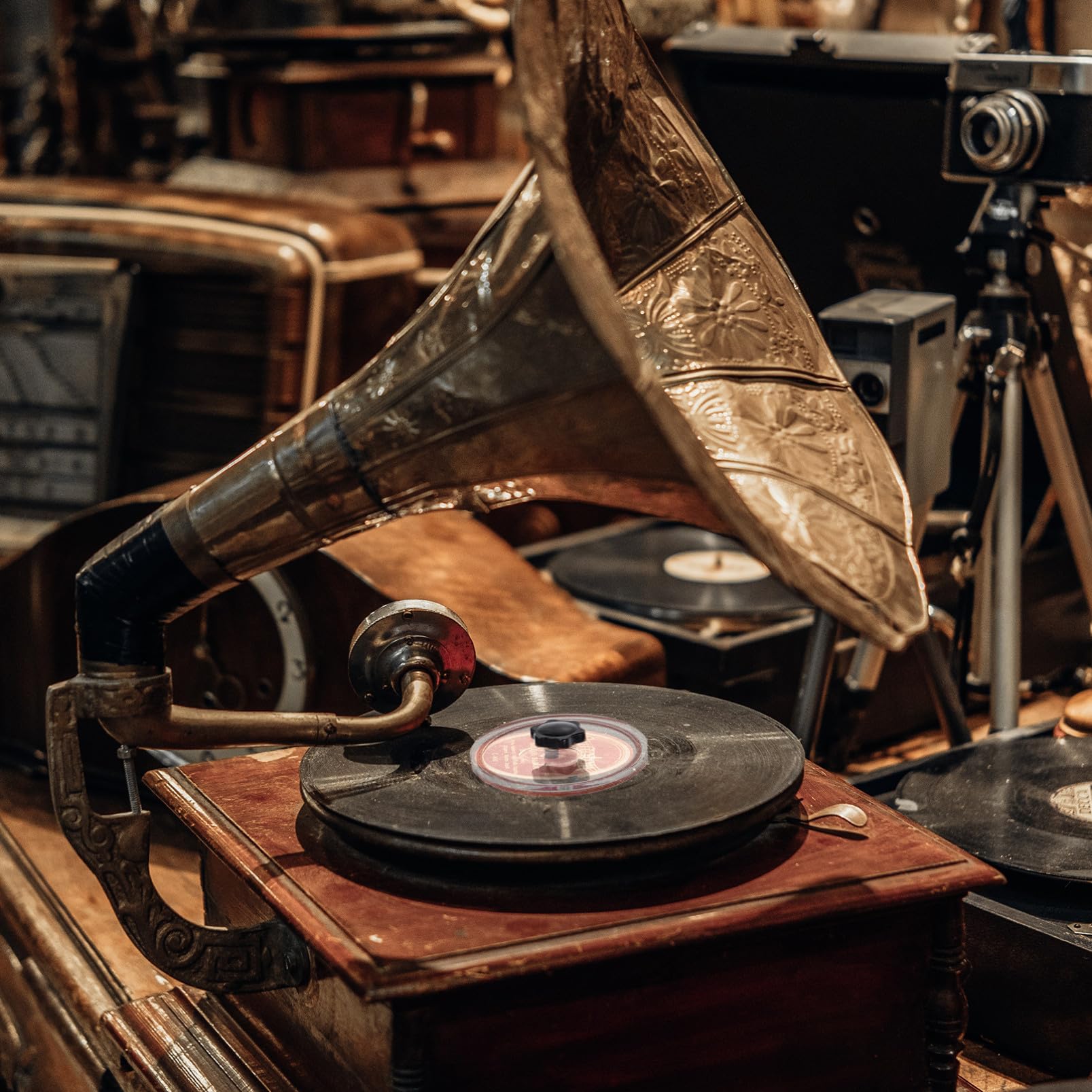 SHINEOFI Strumento Protettivo per Etichette Dischi in Vinile, con Design Arrotondato e Materiale Acrilico e Silicone per Pulizia e Conservazione