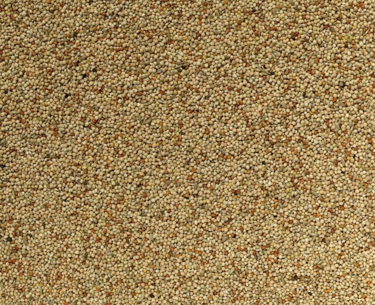 1kg Utility Budgie bird seed food sold by Trusty Pet Supplies