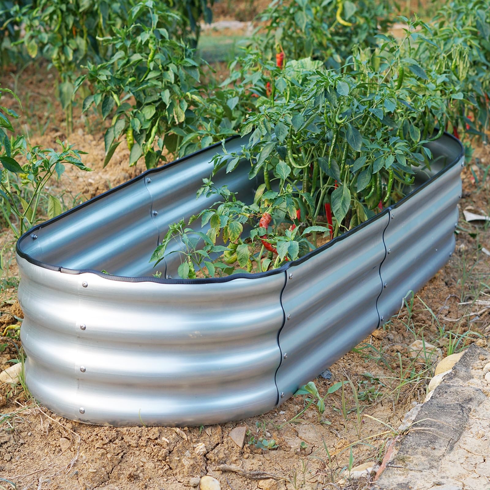 Gr8 Garden Unisex Silver Raised Bed Planter Oval Galvanised Steel Trough Box 120X61x30cm In | Size: 120 X 61 X 30 Cm