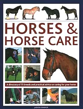Horse Breeds&Breeding-Jane Kidd 洋書 Horse Breeds&Breeding-Jane Kidd 洋書 - メルカリ
