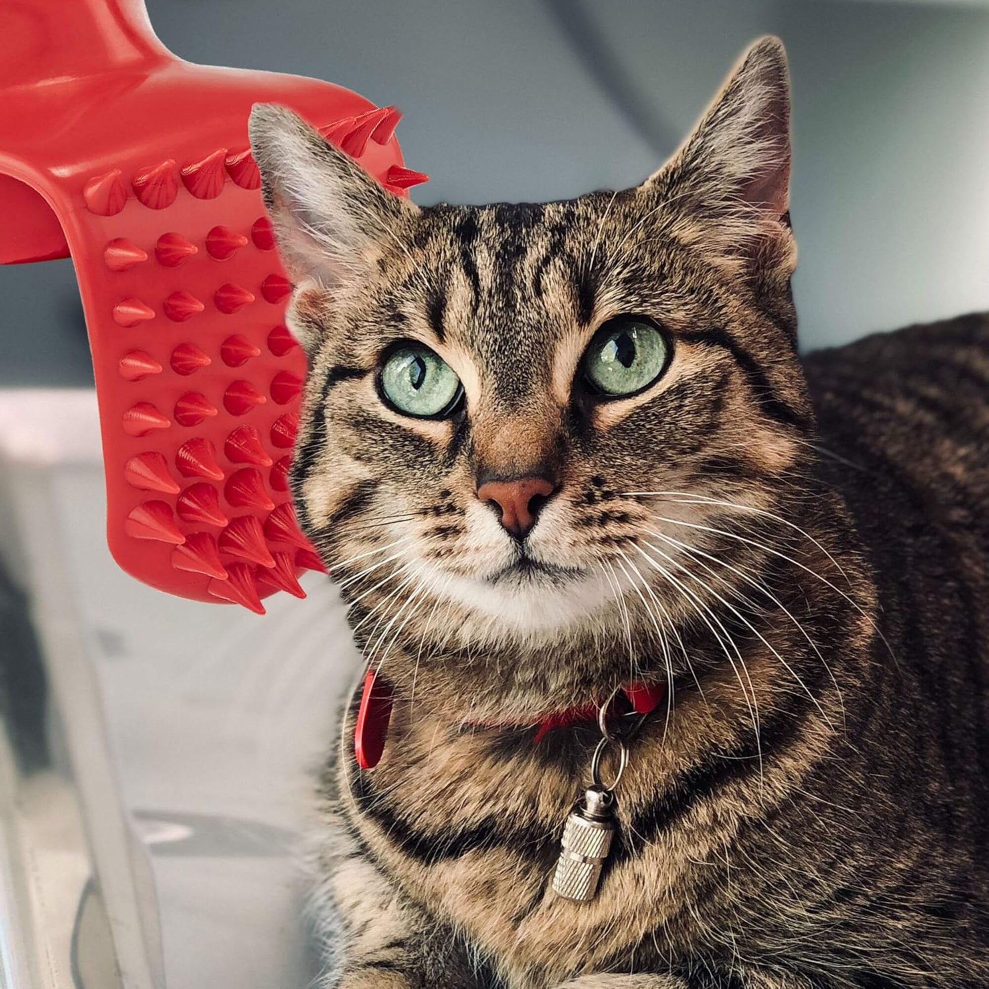 Lick'em Tongue Cat Brush – Funny Novelty White Elephant Gag Gift for Cat Lovers