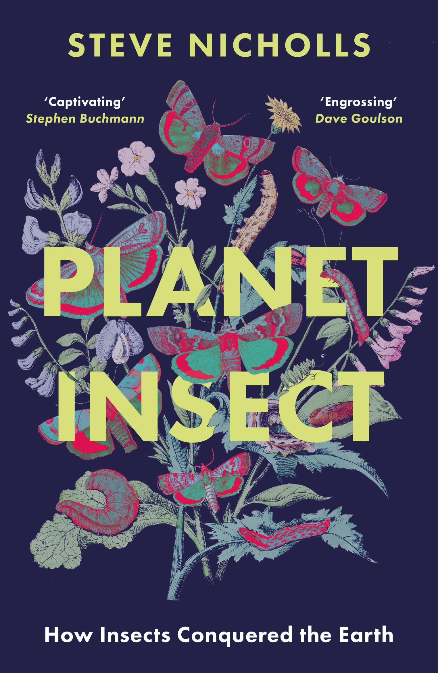 Planet Insect: How Insects Conquered The Earth (An Apollo book)
