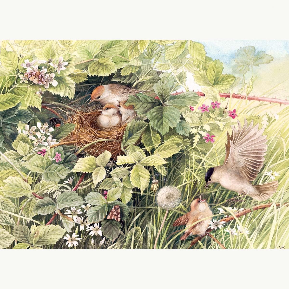 Cobble Hill 1000 Piece Puzzle - Hidden Nest - Sample Poster Included