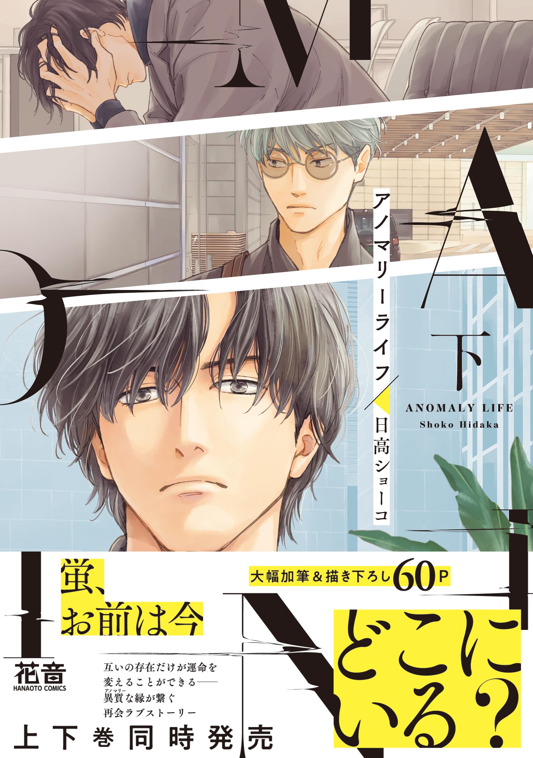 Amazon.co.jp: 日高 ショーコ: 本、バイオグラフィー、最新アップデート