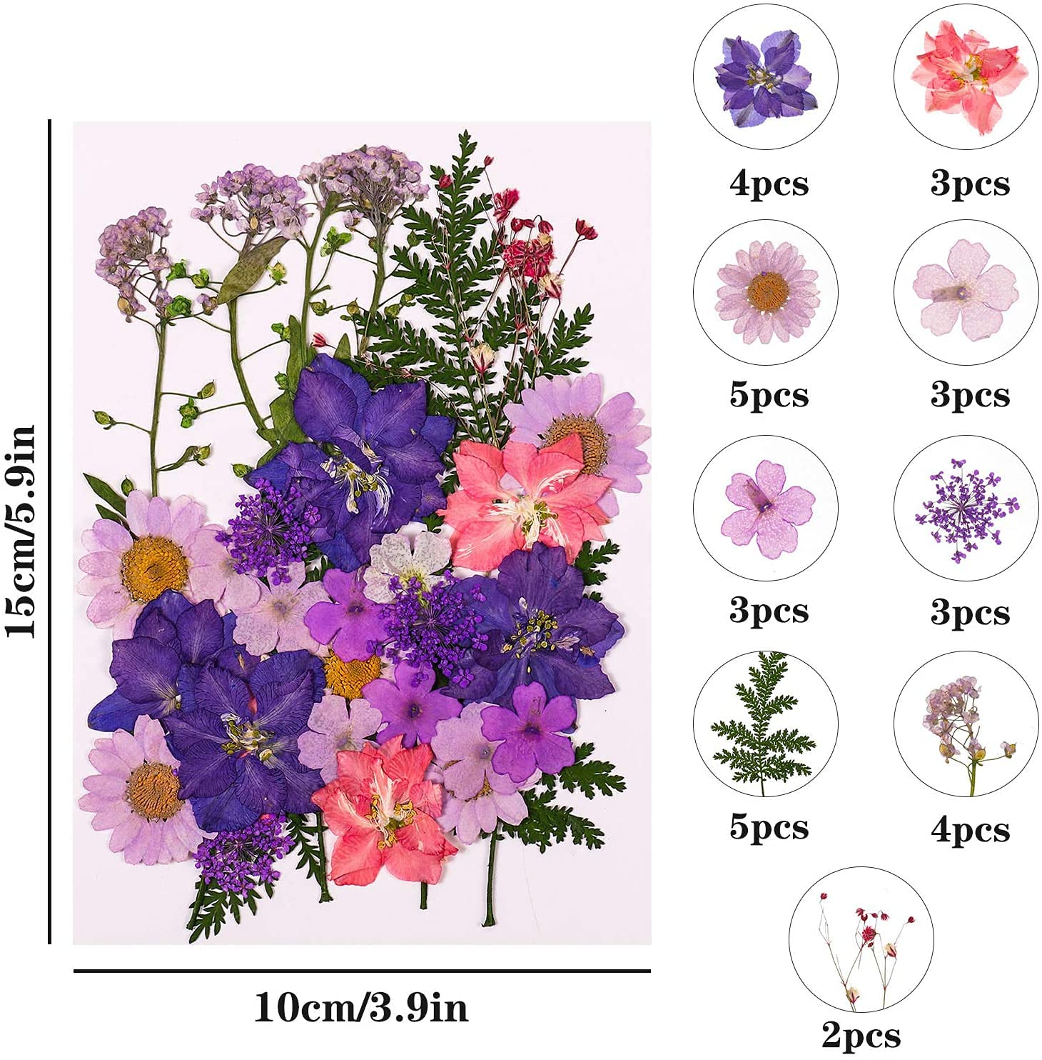105 Stück Natürliche Getrocknete Blumen, DIY Gepresste Blumen Gemischte Getrocknete Blätter Getrocknet Gänseblümchen Gemischt für Kunst Basteln DIY Harz Scrapbooking Handwerk Karten Machen