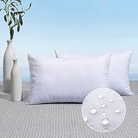 MIULEE Pack of 2 12x20 Outdoor Pillow Inserts Water-Resistant Premium 7D Fiber Lumbar Stuffer for Patio Porch Cushions