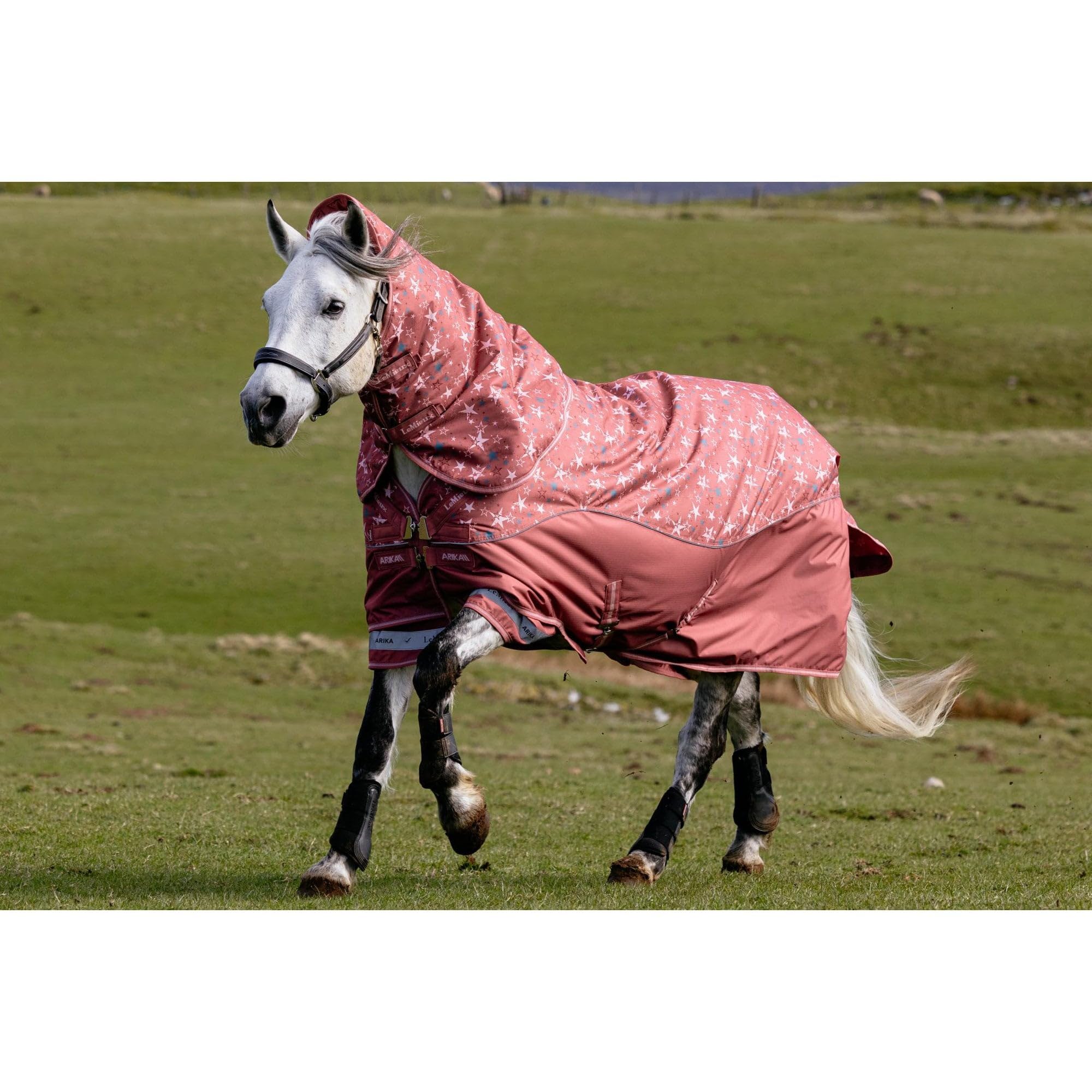 LeMieux Arika Star 100g Turnout Rug - Spiced Earth
