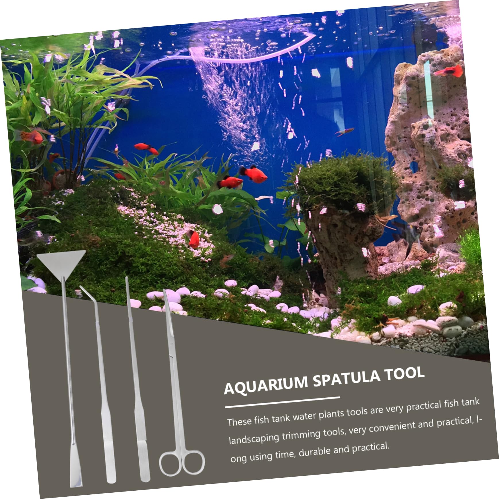 Ensemble de Ciseaux pour Plantes Aquatiques en Acier Inoxydable 1 Set | Argenté, pour Décorations et Gravier, Outils D’aquascaping en Format Compact