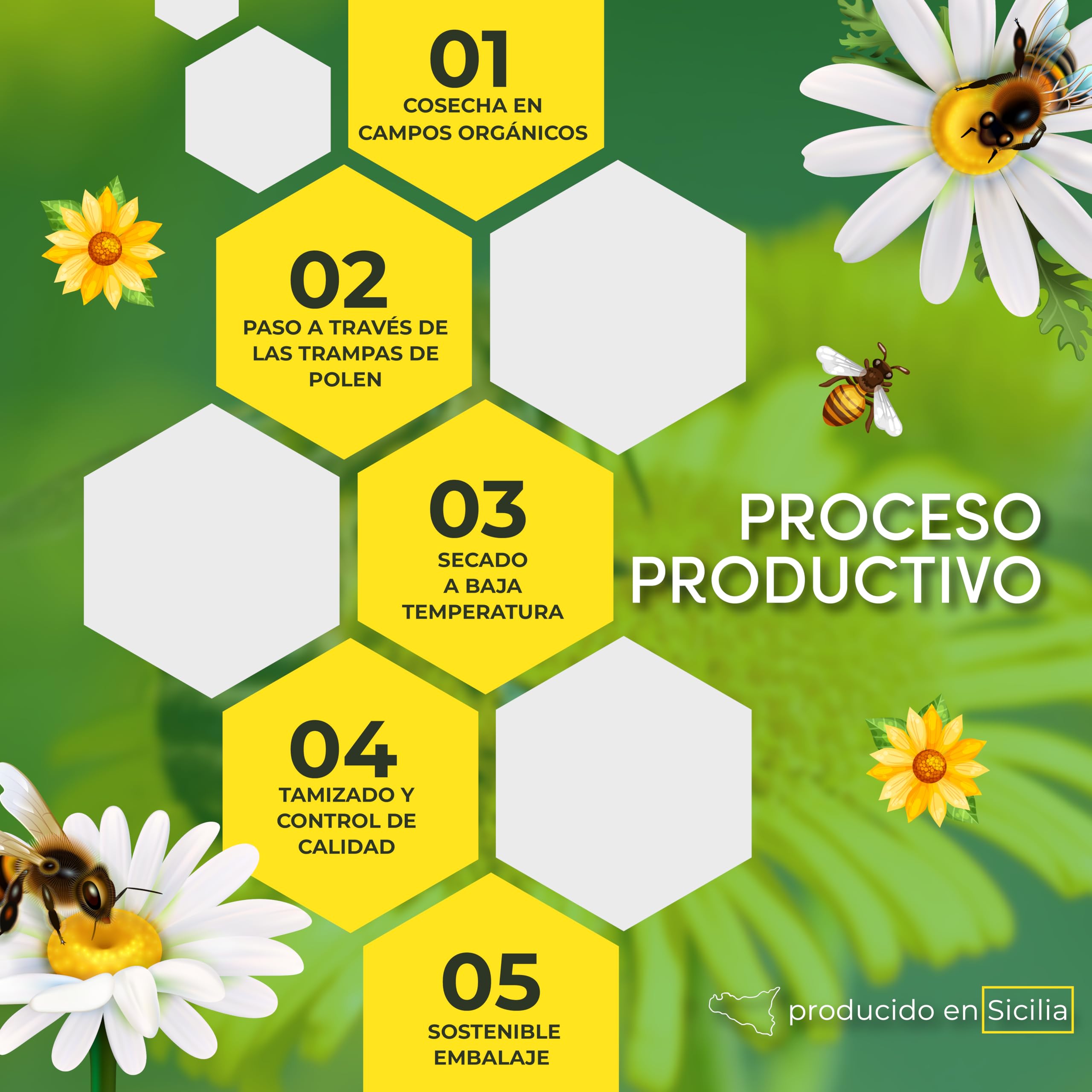 Polen de Agricultura Orgánica - 100% Siciliano, rico en vitaminas, minerales y antioxidantes - Eco-Friendly, sin plaguicidas - 500gr