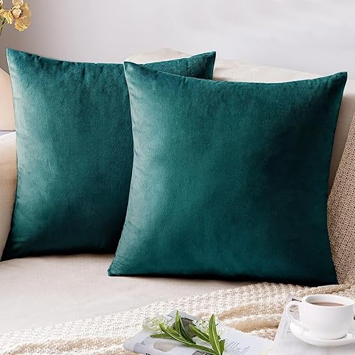 AUSSPVOCT Juego de 2 fundas de almohada de terciopelo de 18 x 18 pulgadas, fundas de almohada decorativas suaves para sofá, cama, automóvil, sala de