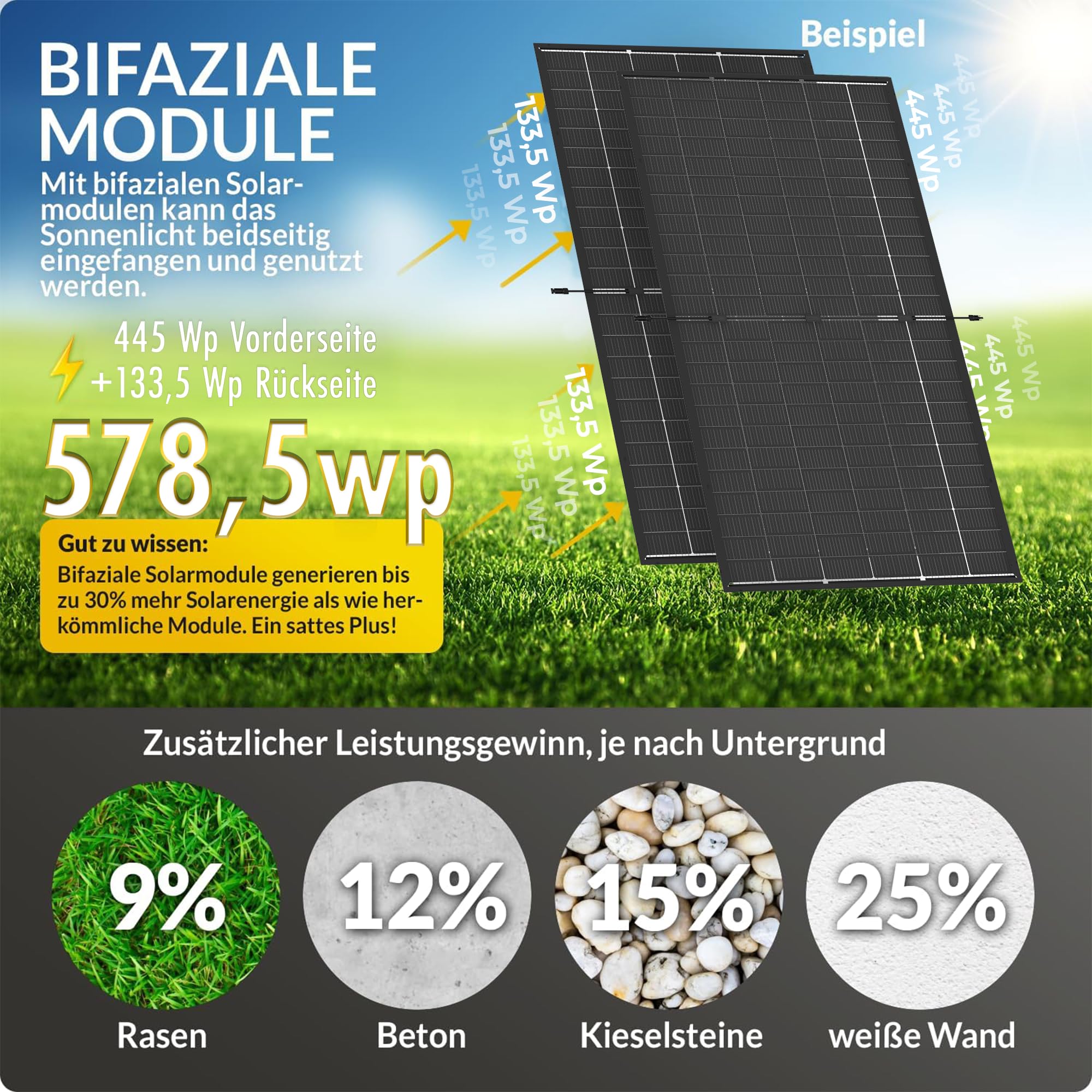 Trina Solar 445W Solarpanel Bifacial Clear Black Modell TSM-445NEG9RC.27 N-Type TopCon Glas-Glas, geeignet für Balkonkraftwerke und große Solaranlagen MENGE: 4