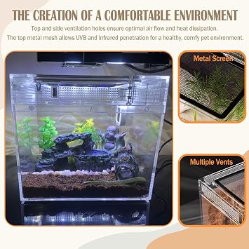 Mini Reptile Terrarium 8x8x7Jumping Spider Tank Starter Kits with Full View Visually Appealing Reptile Enclosure Top Sliding Door Screen Ventilation Habitat Tanks for Lizard Snake Frog