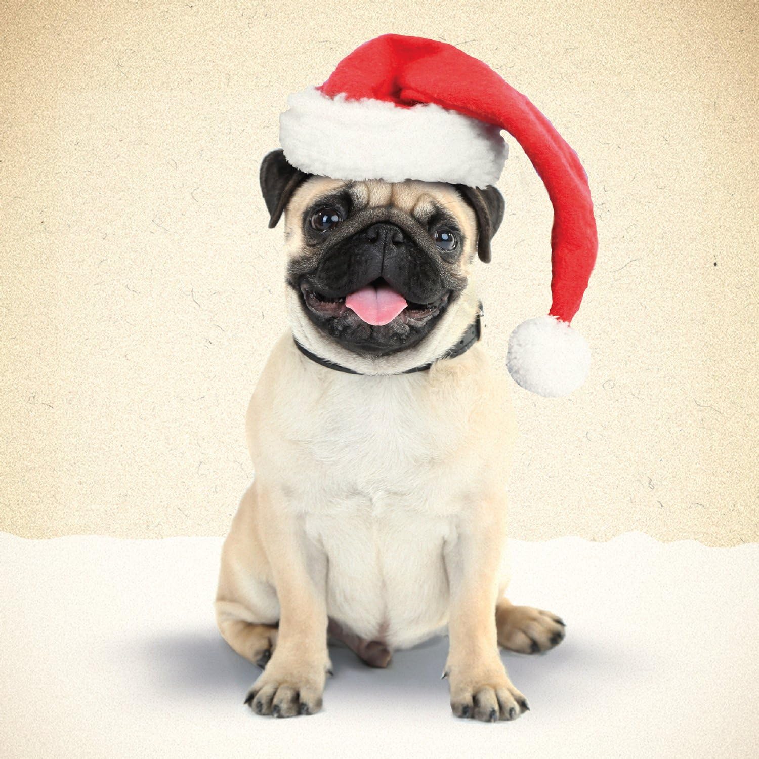 Pug in Santa Hat Christmas Card