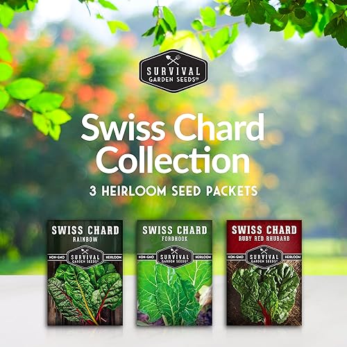 Miniatura 2 de Semillas de acelgas para plantar padres