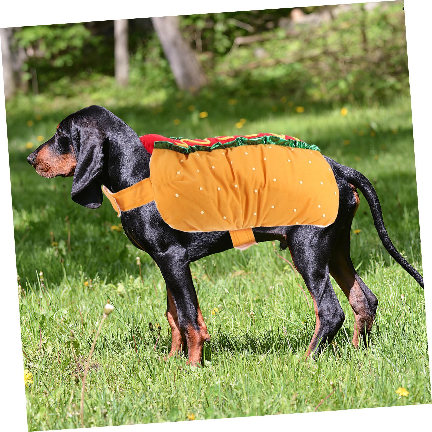 ibasenice Costume di Natale per Gatto e Cane Vestito Festivo in Poliestere Leggero