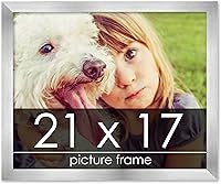 Vista 159 de Marco de 28 x 36 pulgadas de madera de peltre plateado con plexiglás acrílico UV, parte trasera de tablero de espuma y accesorios incluidos