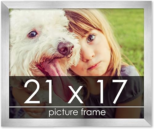 Miniatura 159 de Marco de 28 x 36 pulgadas de madera de peltre plateado con plexiglás acrílico UV, parte trasera de tablero de espuma y accesorios incluidos