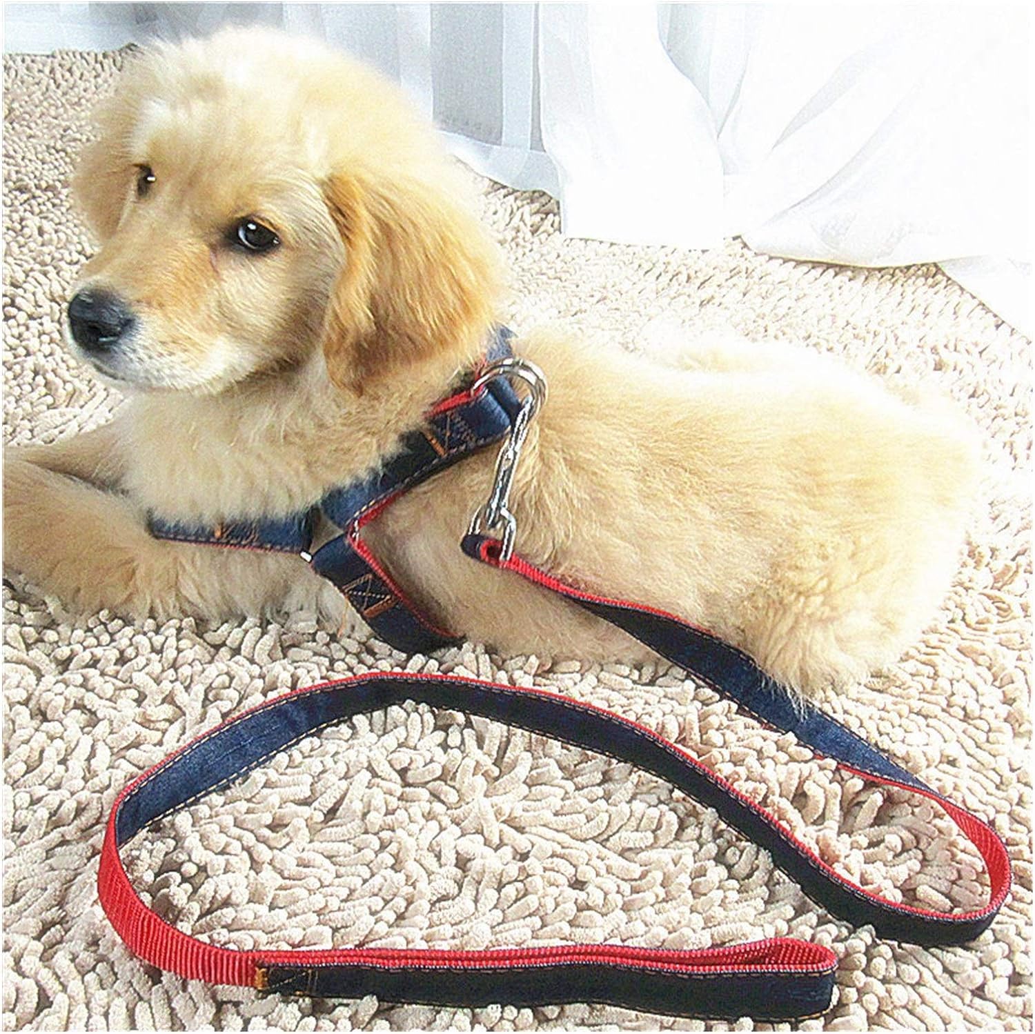 Kuber Industries Dog Chest Belt Harness With Adjustable Leash|Premium Demin Fabric|Metal Hooks |PDMGL-013-03| Comfortable Grip|Blue (B0CJ5C9C8Q) Amazon Price History, Amazon Price Tracker