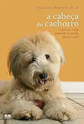 A cabeça do cachorro