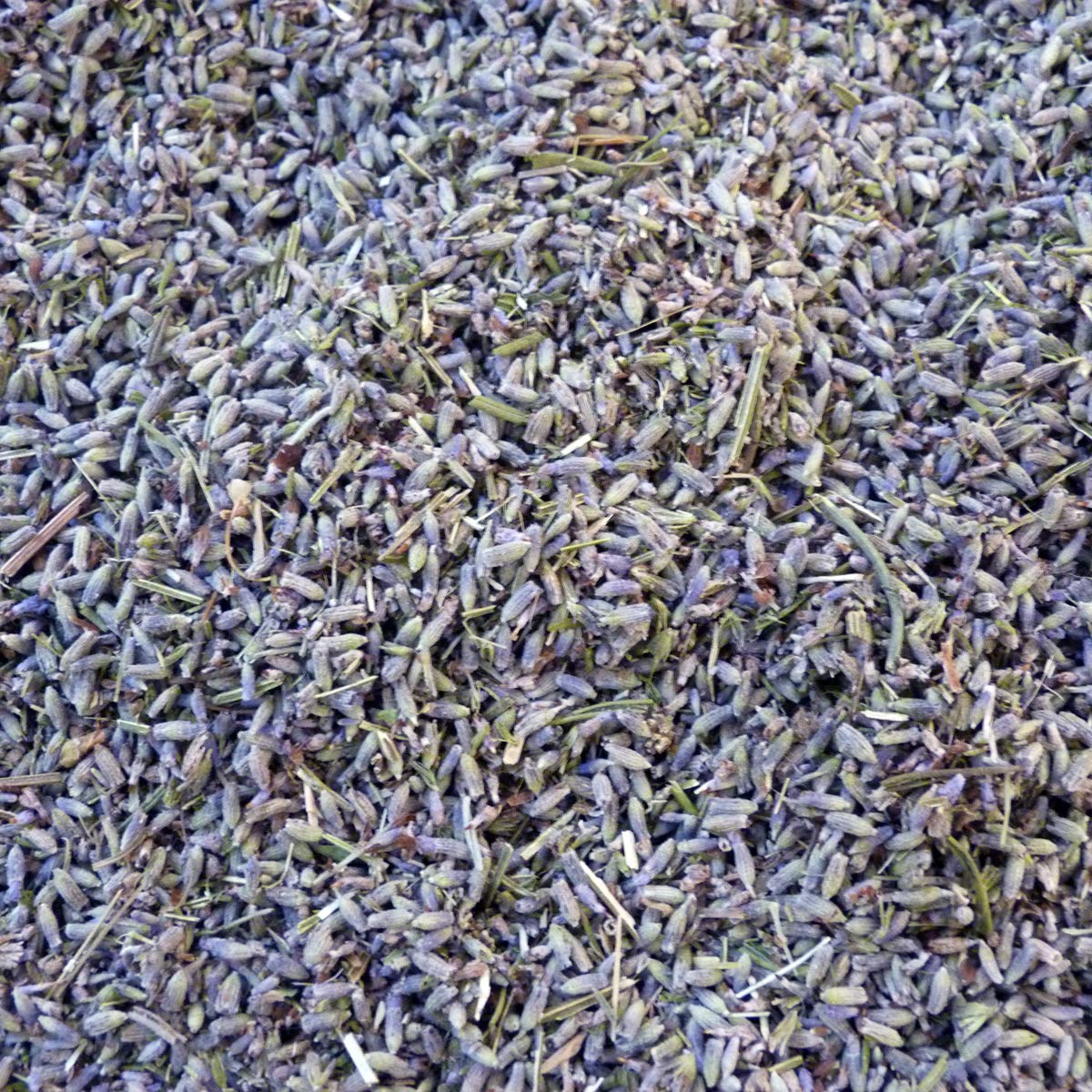 Jalex Dried Lavender Flowers 1kg, Natural Room Fragrance, Aromatic Potpourri