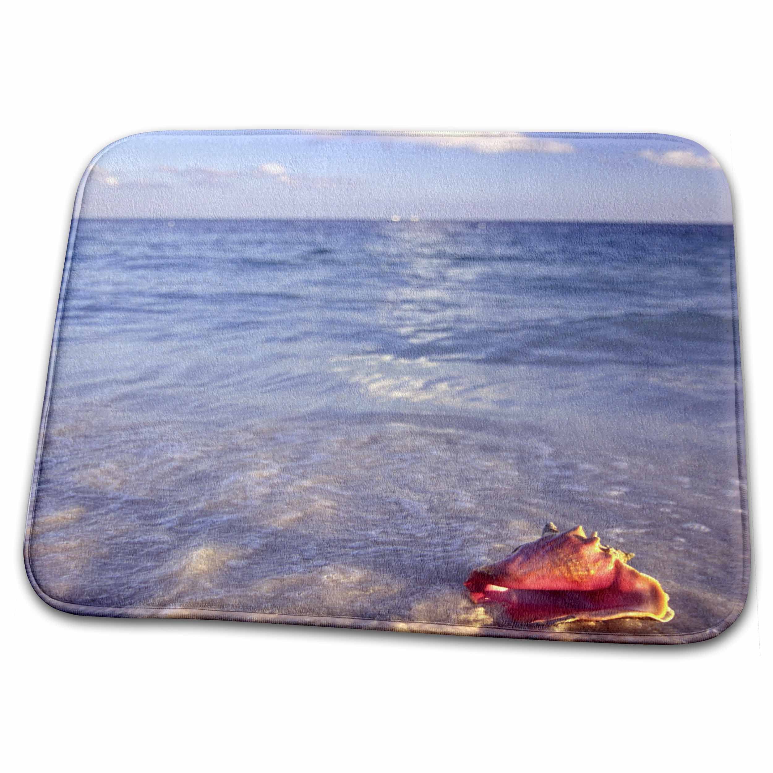 3dRoseBathroom Bath Rug Mat - Conch Shell, Grand Bahama Island, Caribbean-CA05 JDA0000 - Janell Davidson Bahamas