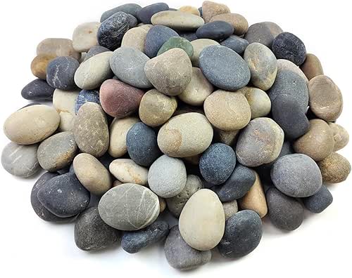20 lbs Natural River Rocks Mexican Beach Pebbles, 2-3 Inch
