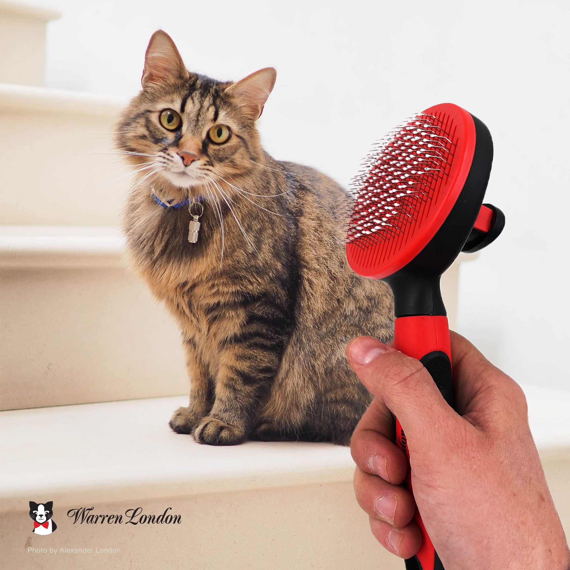 Warren London Brosse démêlante pour chat - Pour le toilettage et la perte de poils - Brosse autonettoyante avec bouton poussoir - Poignée ergonomique - Brosse de toilettage pour chaton et chat