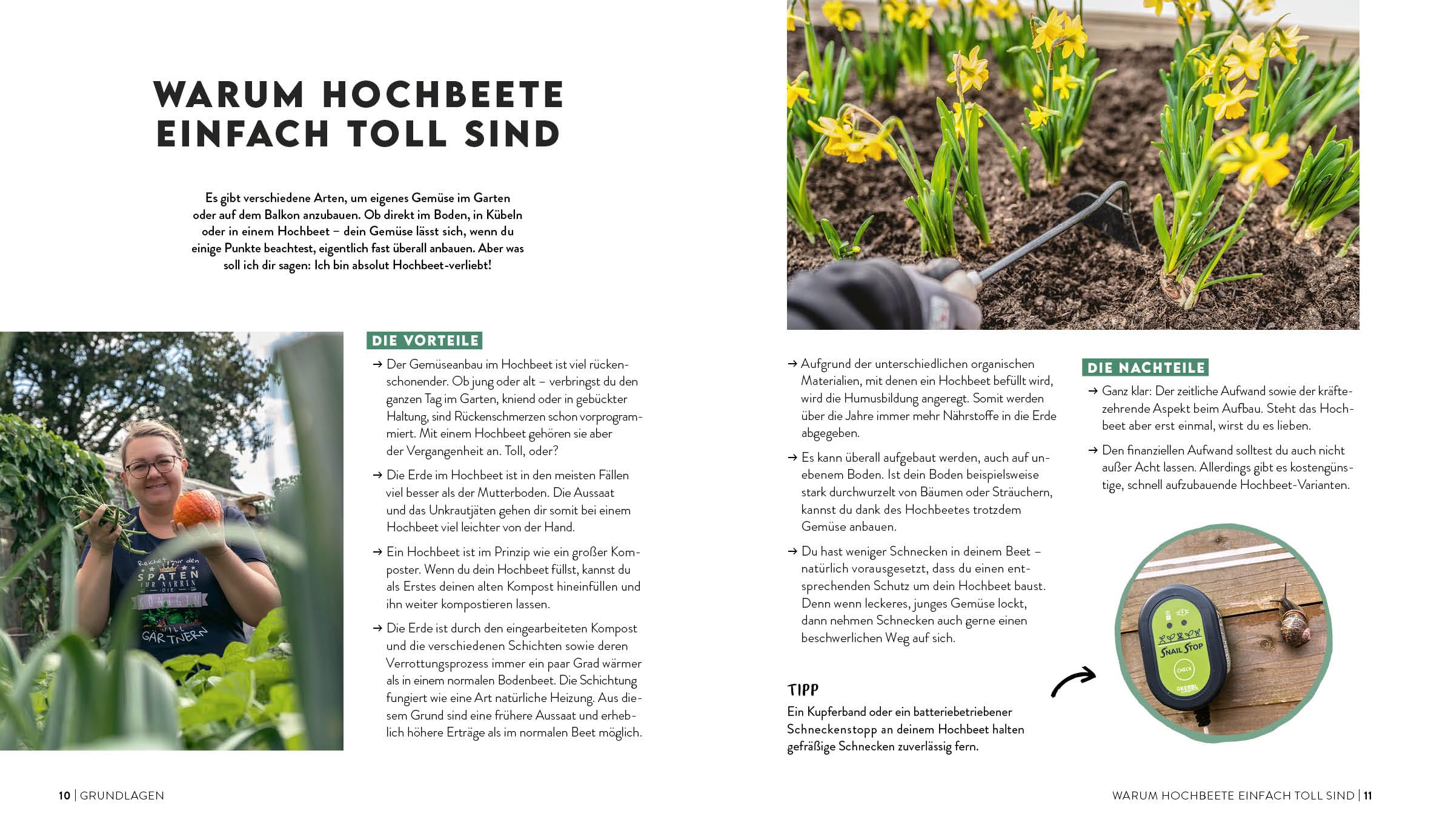 Keine Zeit zu gärtnern – Easy Ernteglück im Hochbeet: Mit Beetplänen, Profi-Tipps und Gemüse-Porträts