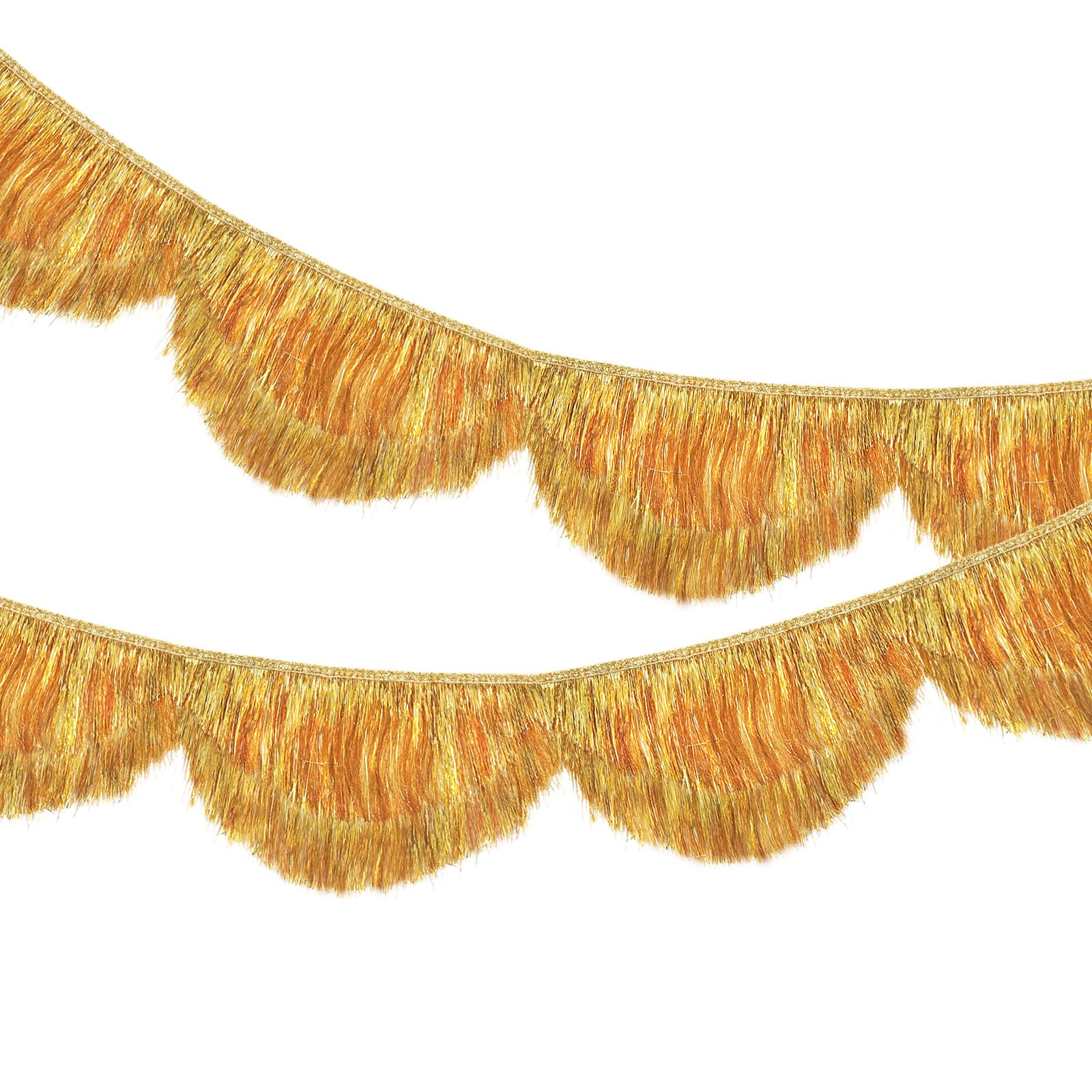 BLMHTWO Gold Scalloped Layered Fringe Banner Tassel Garland Party Decor