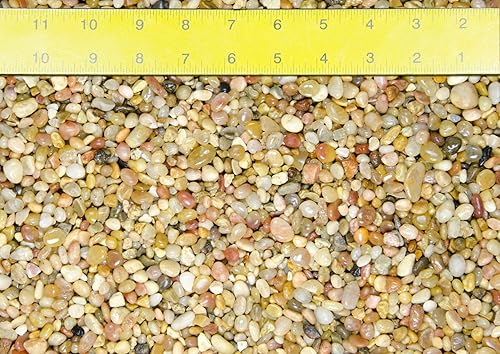 Miniatura 2 de Guijarros de Salmon Bay de 3 libras para humedad/bandeja de goteo, bambú de la suerte, tanque de peces y aderezo