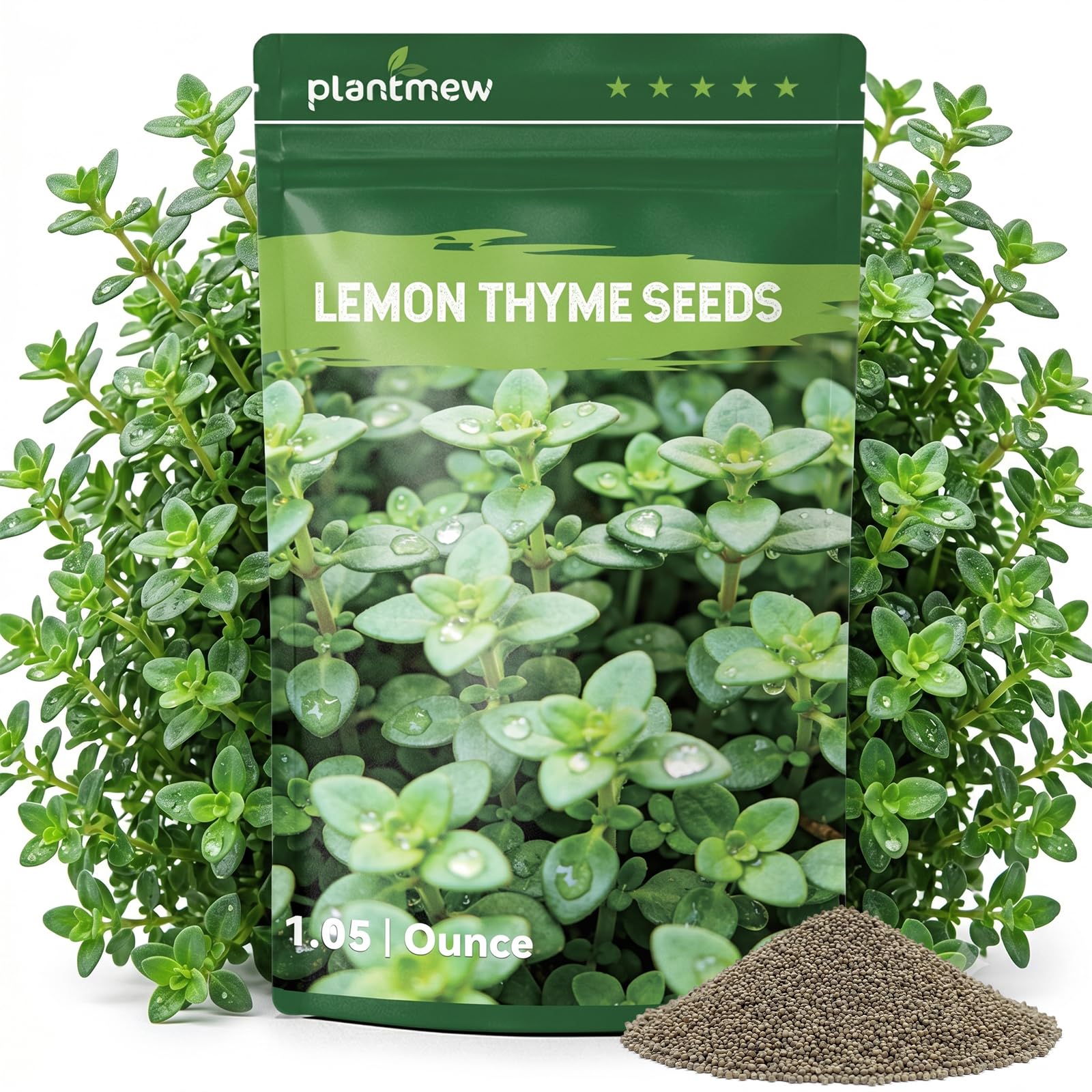 Lemon Thyme Seeds PLANTMEW