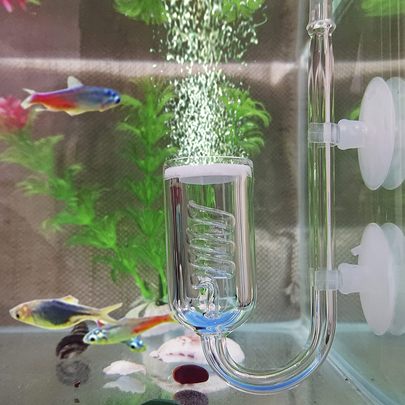 CO2 Diffuseur Gazon Aquarium Verre Spirale CO2 Atomiseur Diffuseur Bulle Compteur Vérifier avec Ventouse pour Aquarium Planté Fish Tank Accessoires