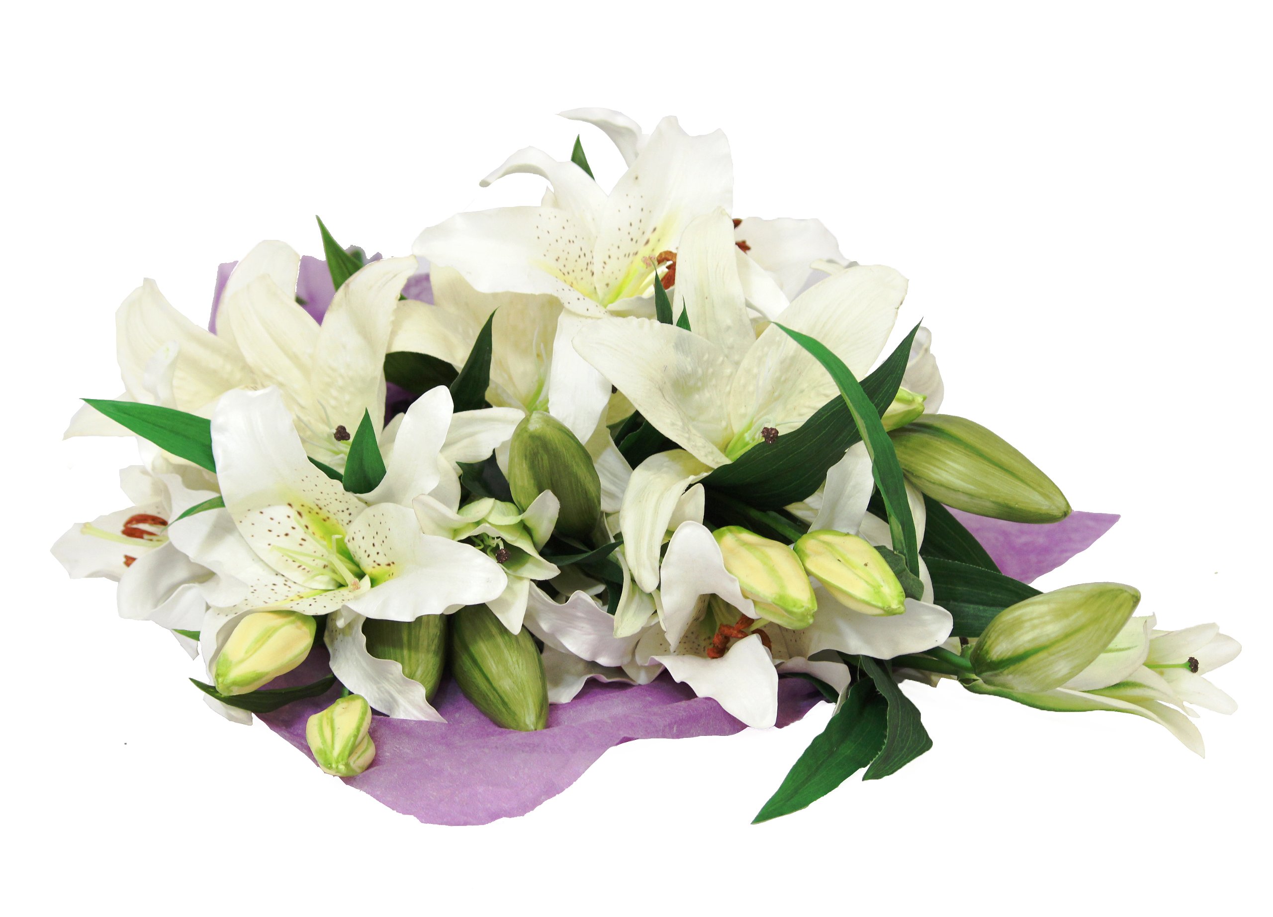 Amazon.com : KaBloom-8 White Oriental Lily Bouquet, Flowers for