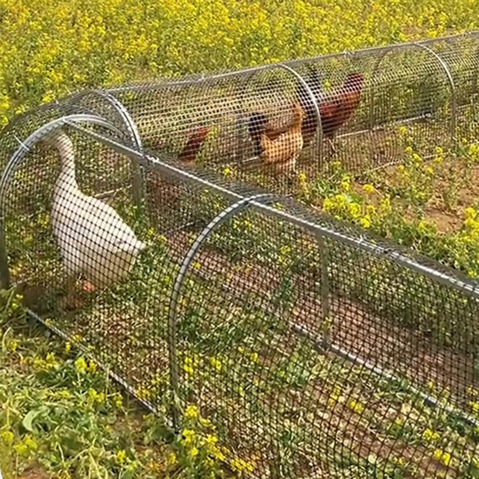 Gallinero, Túnel MetáLico para Gallinas Al Aire Libre, Corral para Gallinas para El Jardín, Gallinero Portátil, Corral para Gallinas A Prueba De Depredadores, Fácil De Instalar,Plata,100cm