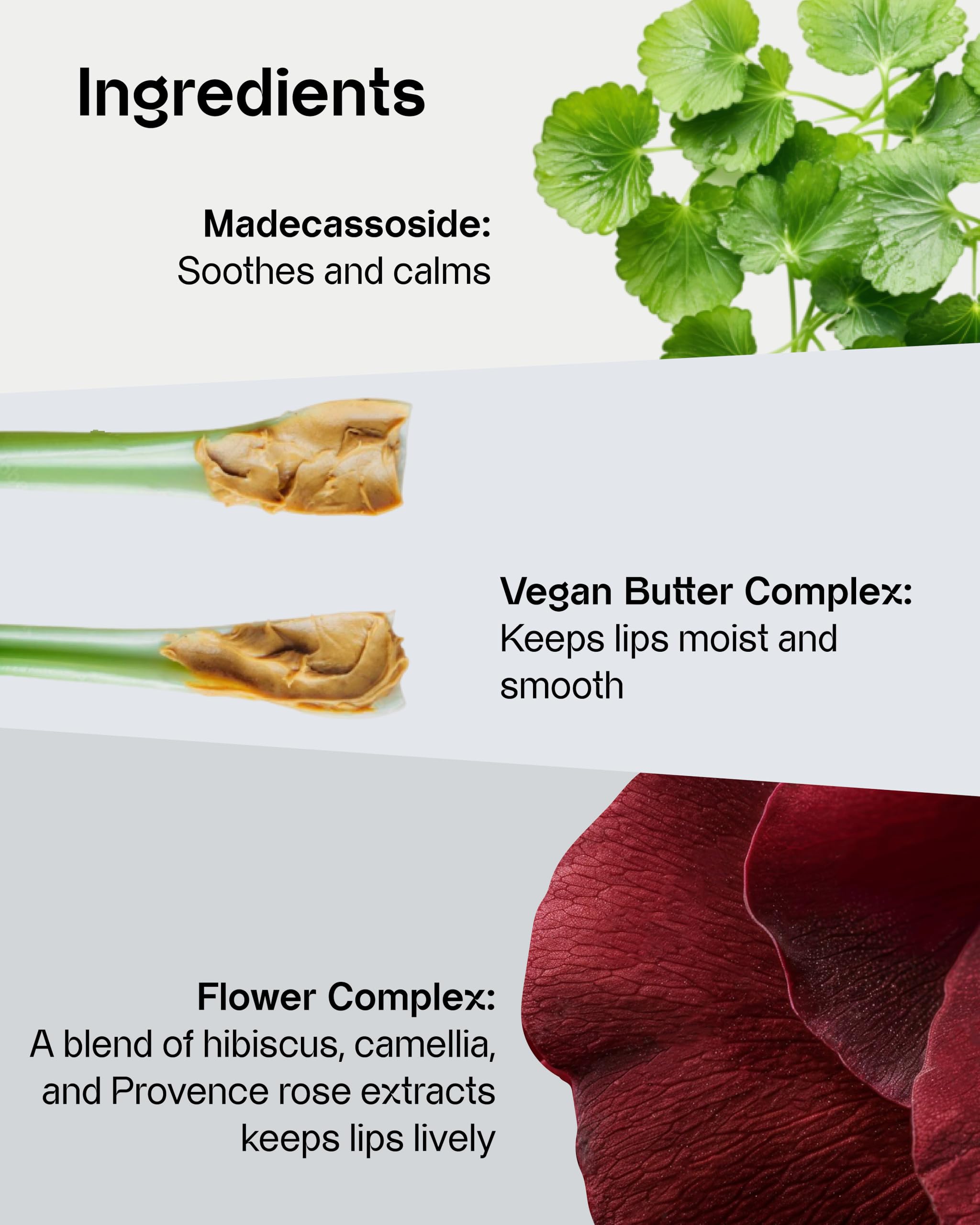 Freshian Sensual Blur Vegan Lipstick (07 Touch, 9.07 g): fórmula de larga duración, lápiz labial mate claro, maquillaje coreano, manteca de karité, vegano. 07 Touch, 1 pieza (1 unidad)