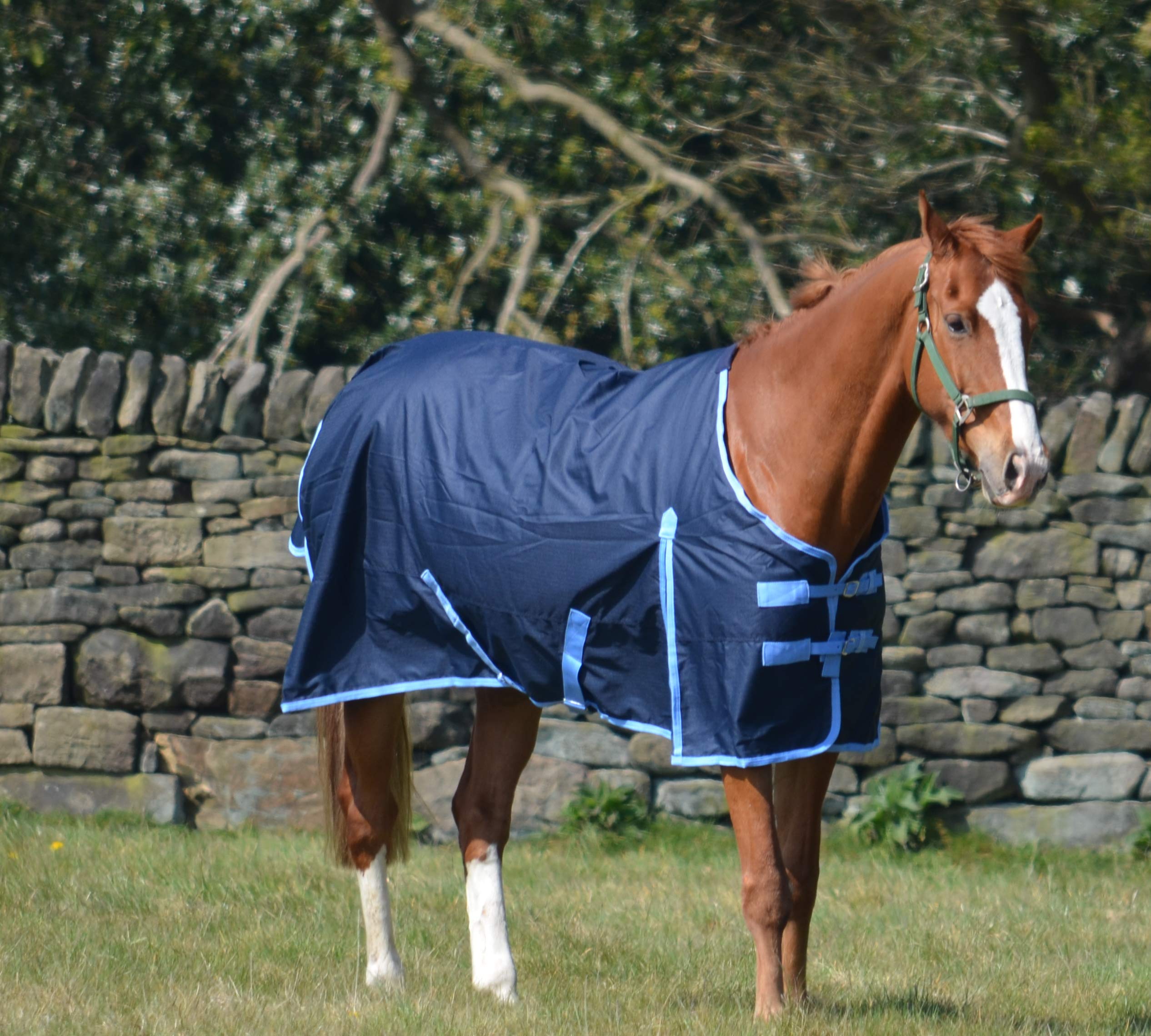 600d Navy Medium Weight Waterproof Horse Turnout Rug 200g Fill - 69