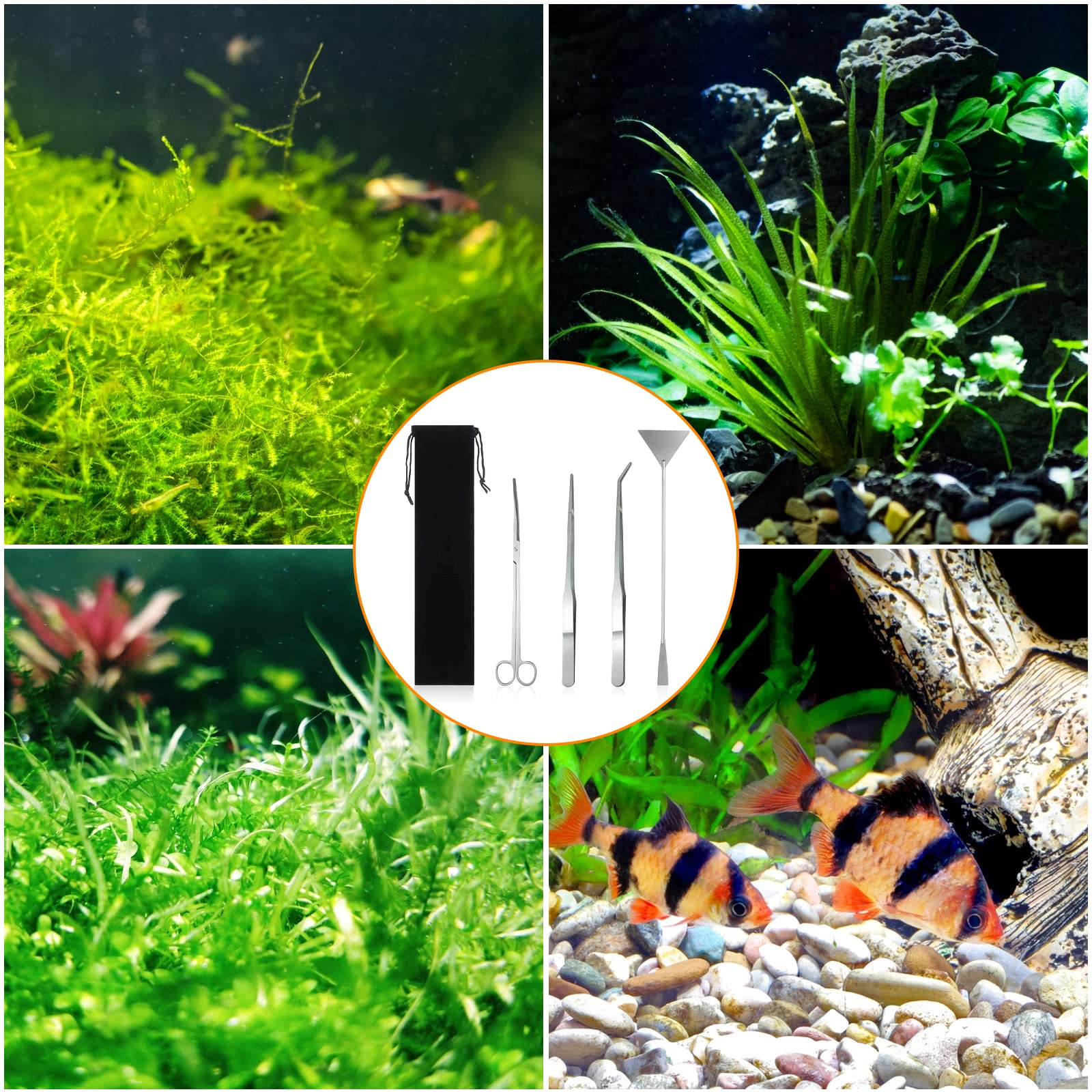 4-in-1 Kit Pulizia Acquario con Pinzette e Forbici in Acciaio Inox per Terrarium e Piante Acquatiche