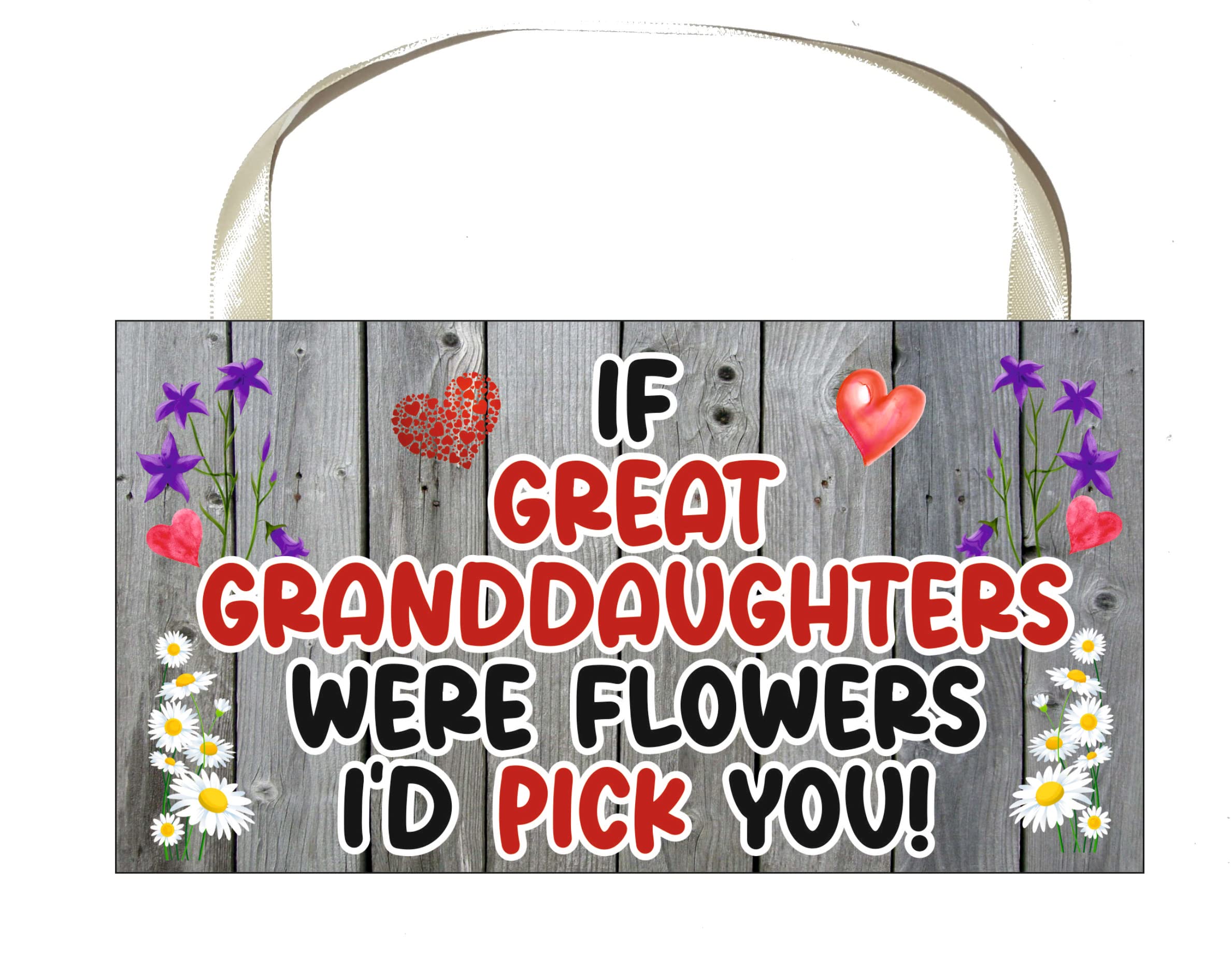 Decalarama Berry Great Granddaughter Plaque Gift – If Great Granddaughters Were Flowers I'd Pick You – Cute Fun Novelty Birthday Present