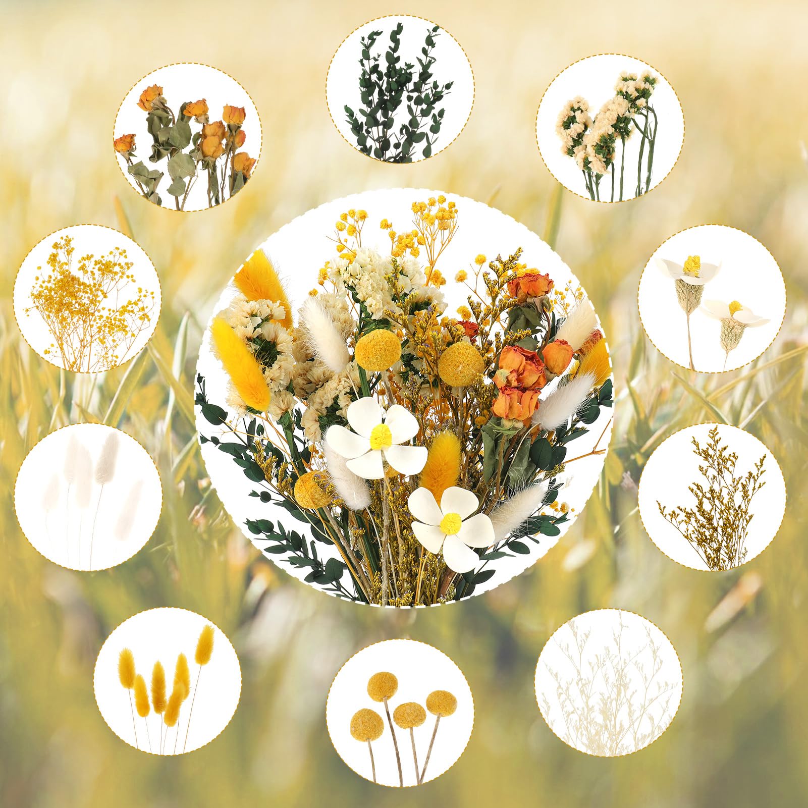 Fiori Secchi Decorativi 30 Pcs Bouquet di Rose Gypsophila Naturali per Vaso Bomboniere