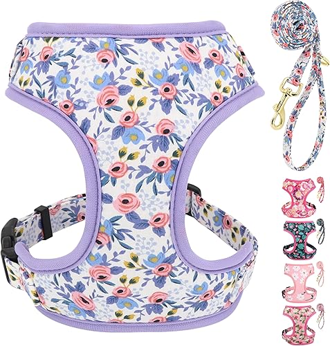 Beirui Juego de arnés y correa para perro con bonito diseño floral, arnés de malla suave ajustable para perro con correa de 5 pies para cachorros