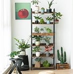 HCHQHS 6 Tier Bookshelf, Adjustable Industrial Bookcase, Vertical Tall Book Shelf, Wood and Black Metal Open Bookshelves for Home Office, Living Room, Bedroom, 178CM