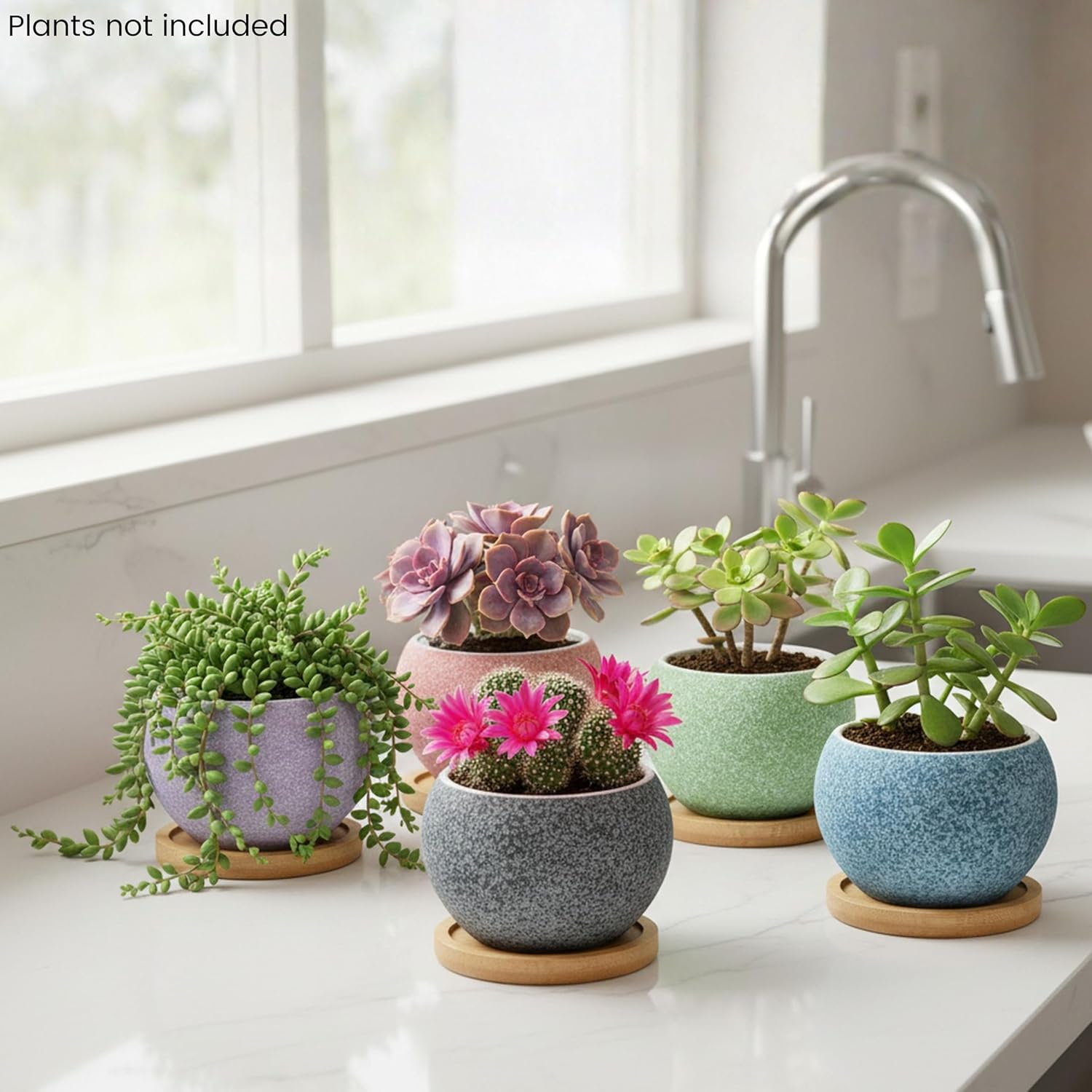 3 inch Ceramic pots for Plants, Small Succulent Pots Set with Drainage, 6 Pack Flower Pot for Indoor Plant, Planters for Little or mini Cactus 2 inches Plants