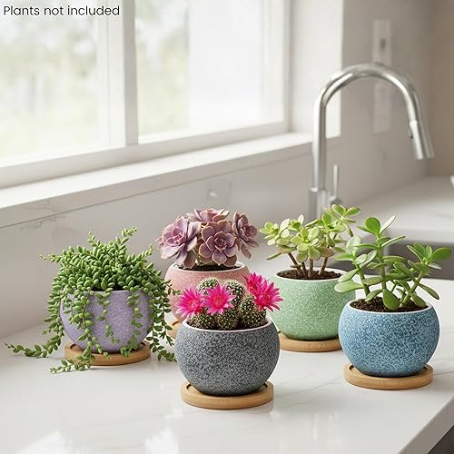 Miniatura 5 de Macetas Thriving Thicket de 3 pulgadas de cerámica para plantas, juego de macetas pequeñas para suculentas con drenaje, paquete de 6 macetas para