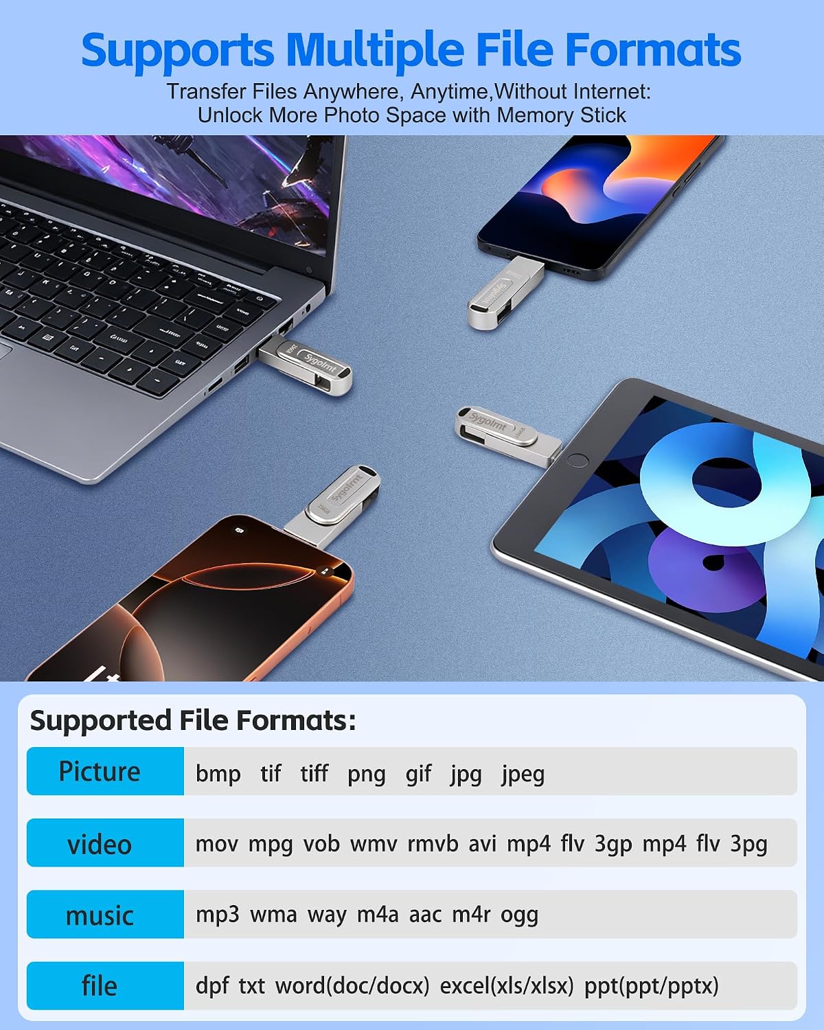 256GB Flash Drive for iPhone Photo Stick Thumb Drive, USB Memory Stick iPhone Flash Drive for Photos Jump Drive Portable External Easy Backup Photo Storage for Phone/Android/PC/Laptop/Tablet (Grey) 7 81pKbs2la5L. AC SL1500