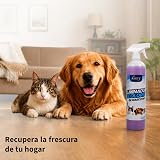 Ver la foto 7