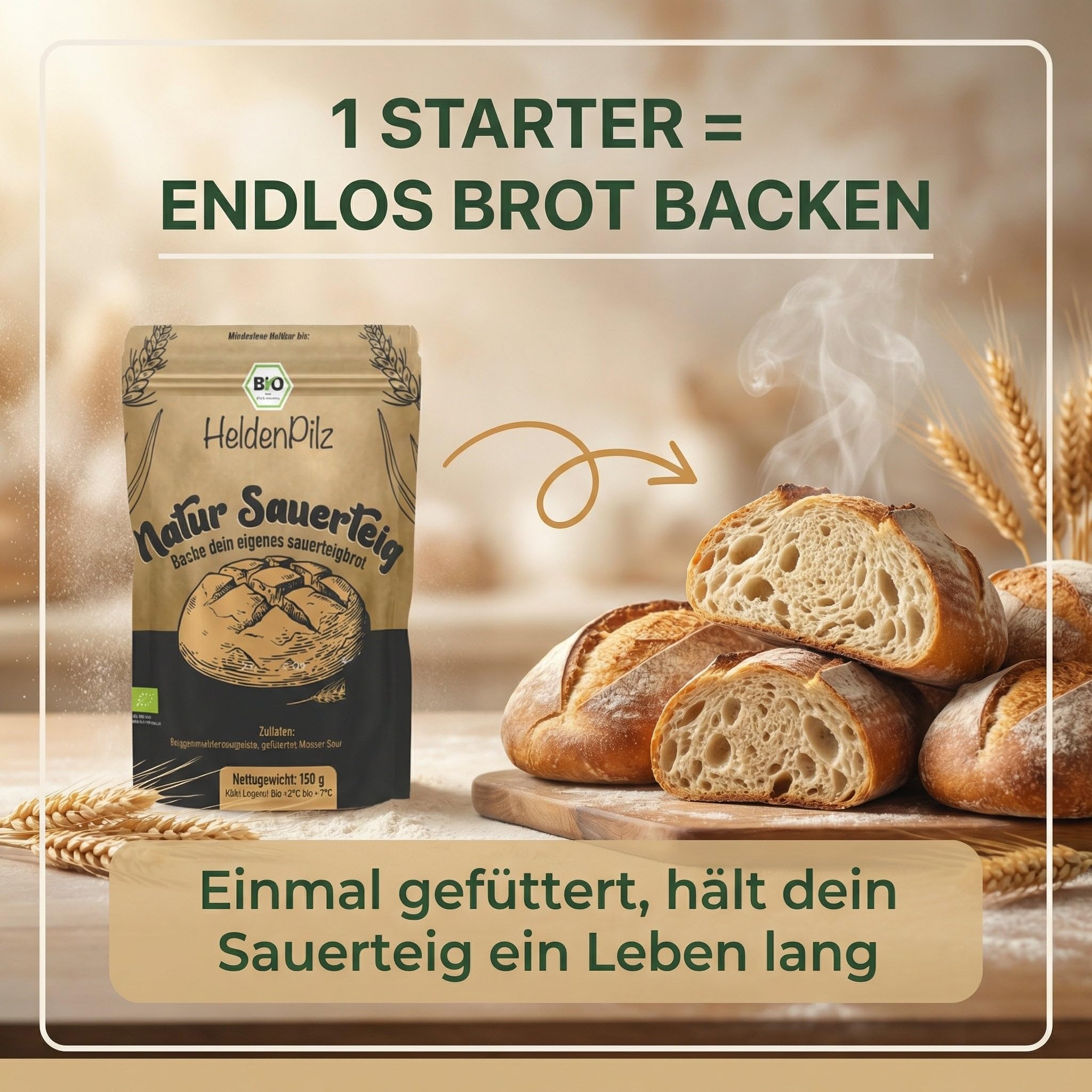 HeldenPilz | Masa agria orgánica fresca | Set para hornear pan + regalo | hacer pan crujiente tú mismo, incluye instrucciones y recetas, ingredientes 100% naturales (centeno para iniciar la levadura