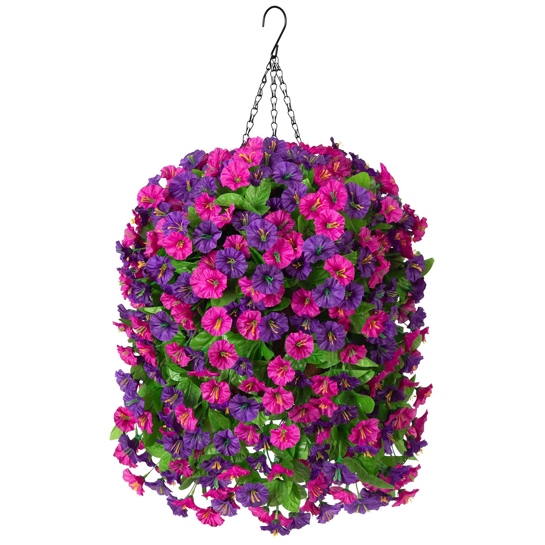 INXUGAO 4-Pack Morning Glory