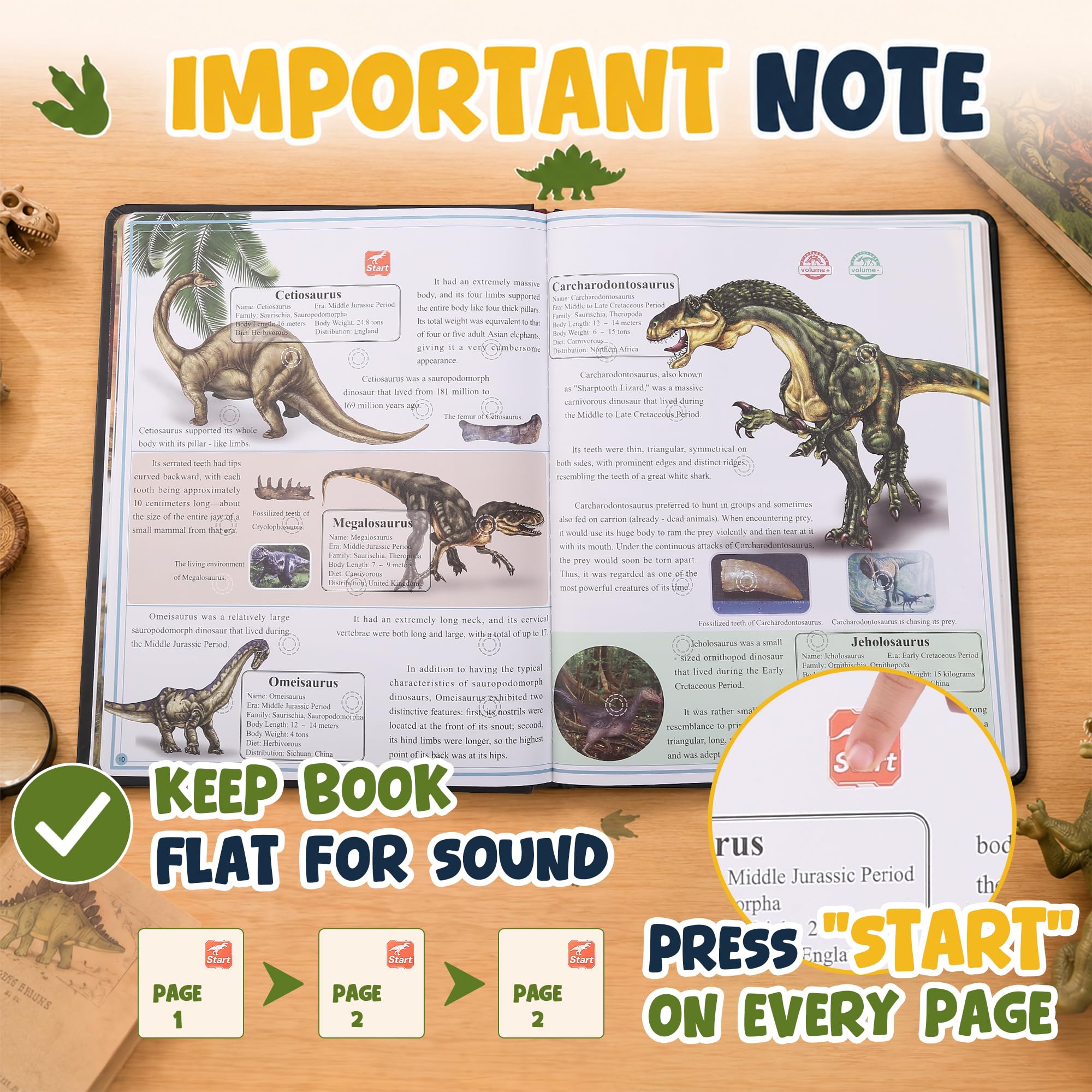 Talking Dinosaur Encyclopedia - Learn & Play! -3